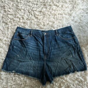 NEW American Eagle Curvy Denim Shorts